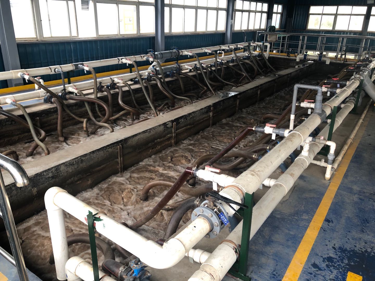 養(yǎng)殖屠宰廢水 養(yǎng)殖屠宰廢水