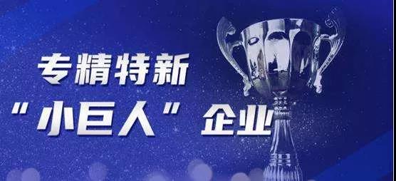 2021年度省專精特新小巨人企業(yè) 2021年度省專精特新小巨人企業(yè)