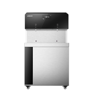 立升節(jié)能飲水臺 DF521