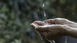 新聞動(dòng)態(tài)